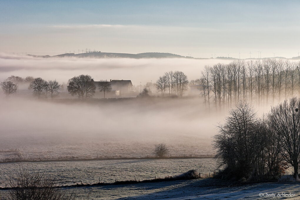 Testbild